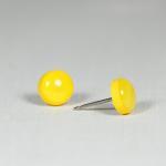 Lemon Stud Earrings - Yello..